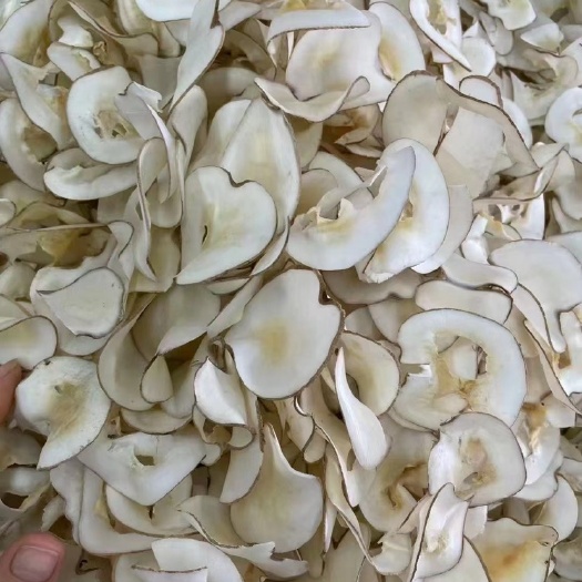 广州海底椰片 无硫海底椰片 新货 全国发货 椰香味