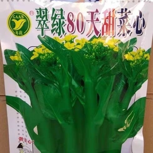 粤蔬牌翠绿80天甜菜心种子200克广东省农科院迟熟粗苔圆叶菜