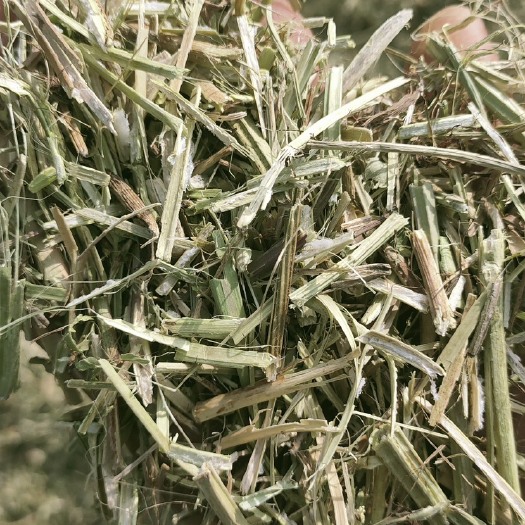 正阳县大量出售花生秧马牛羊草料、兔鹅驼鸟草粉