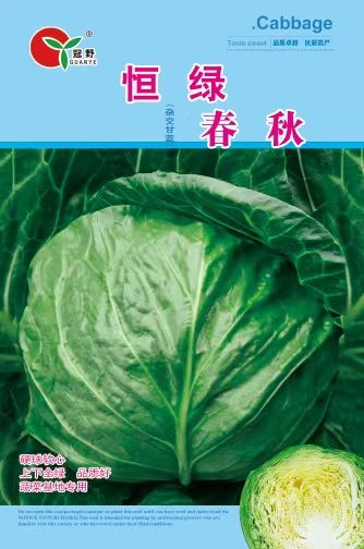 北京恒绿春秋，松宣甘蓝