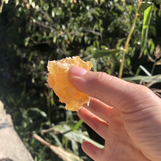 万源市正宗百花蜜