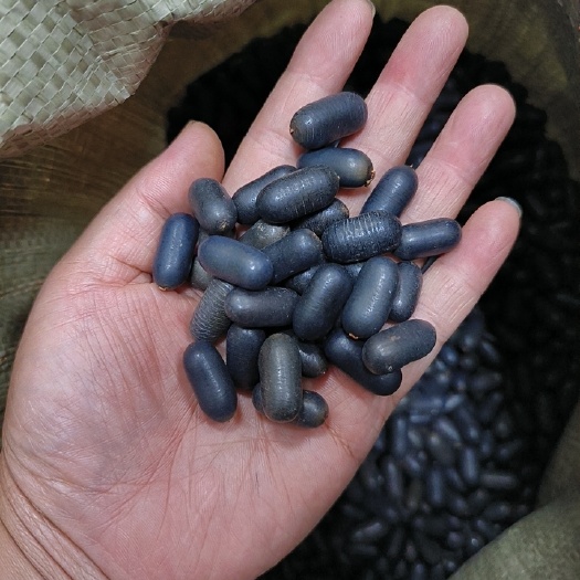 石莲子 苦石莲 包邮 实物图双肾子干货 广西石莲子 量大从优