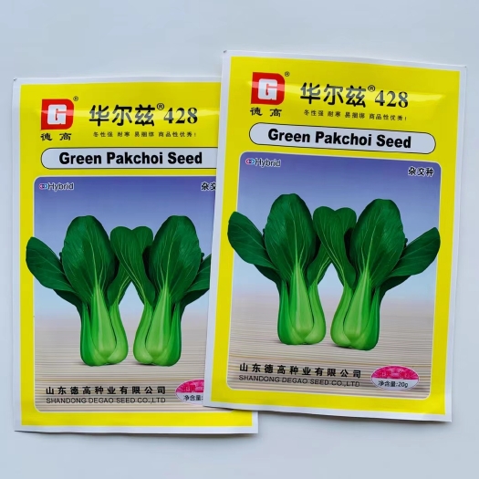 青梗菜种子苏州青种子小青菜种子德高华尔兹428青菜种子