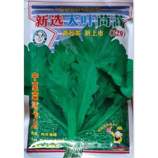 广州包邮蔬菜种子新选大叶茼蒿种子200克叶油绿生长快速菜场皇帝菜