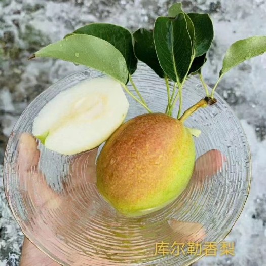 新疆库尔勒香梨产地直发一件代发