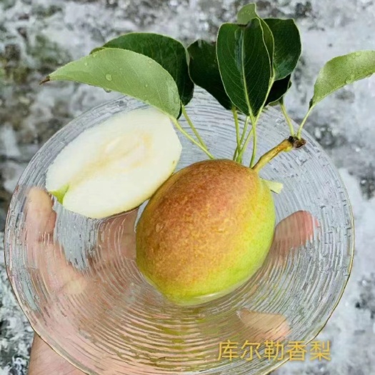 库尔勒市新疆库尔勒香梨产地直发一件代发