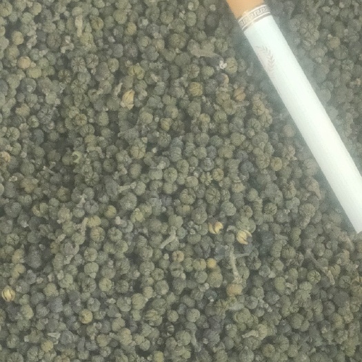 凤凰县湘西吴茱萸中药材果实籽仁类土家苗族自治州凤凰县特产直发