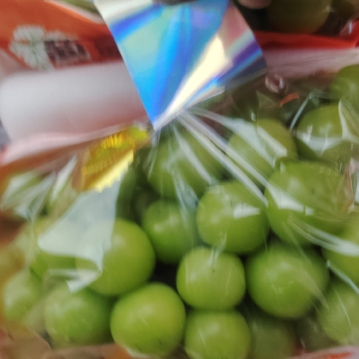 夏邑县河南省商丘夏邑县阳光玫瑰葡萄大量上市