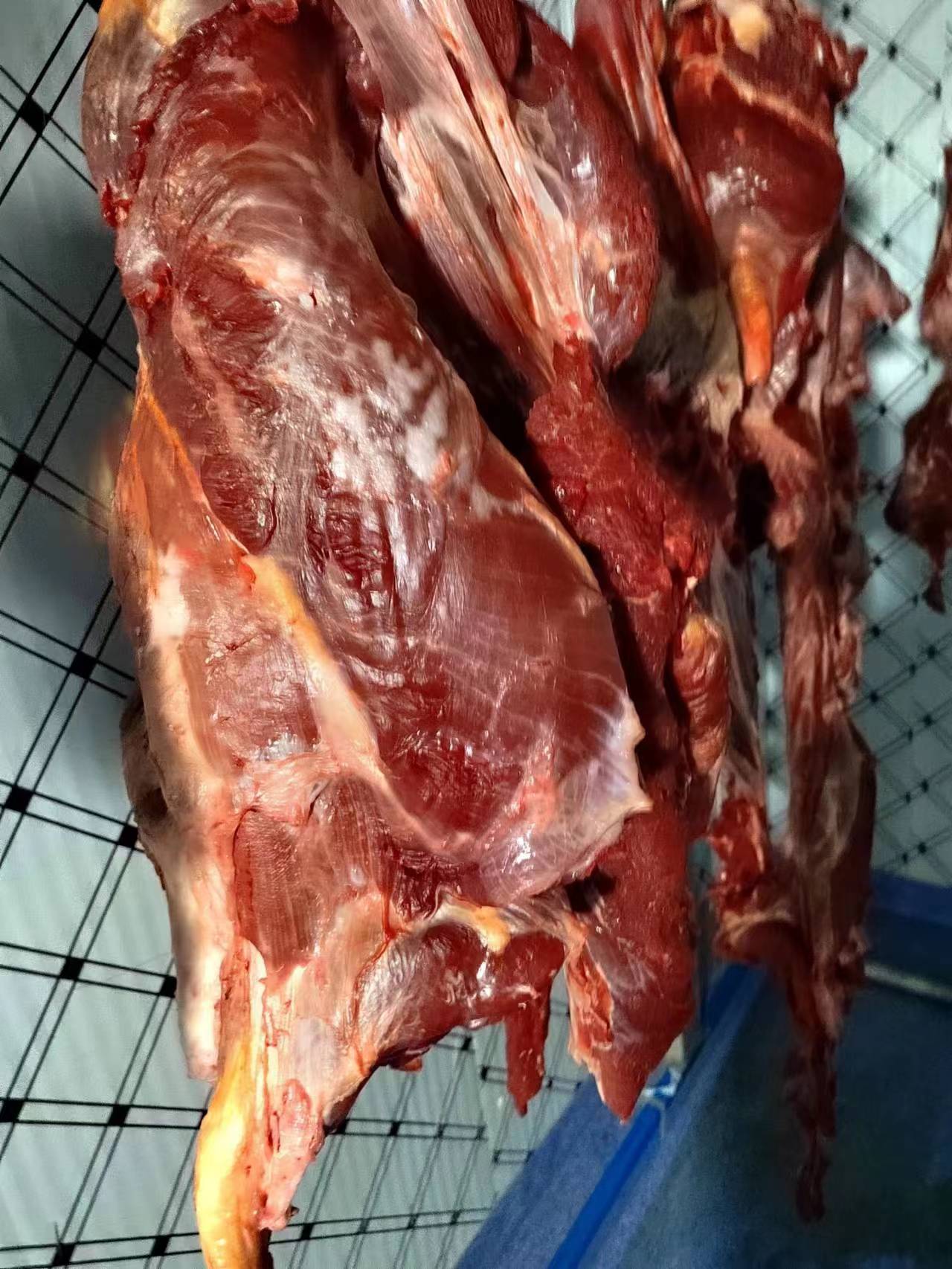 牛肉