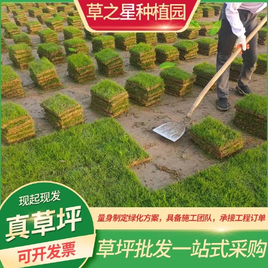 句容市青，基地直发，低价跑量