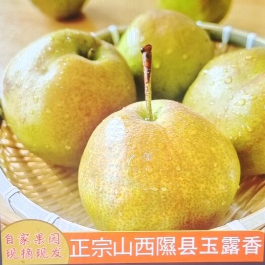 隰县隰县玉露香梨