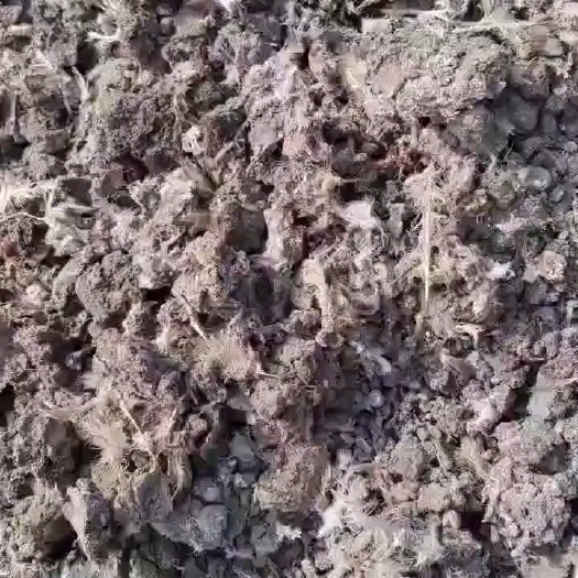 中牟县鸡粪
