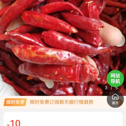 亳州小辣椒