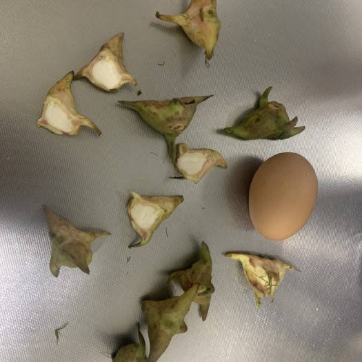 淮安野生四角菱角