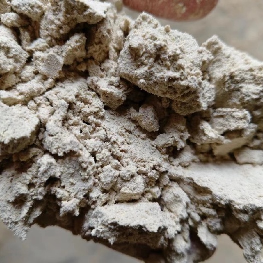石家庄饲料玉米淀粉渣