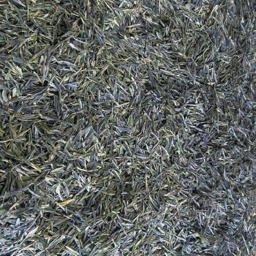 龙井茶 绿茶