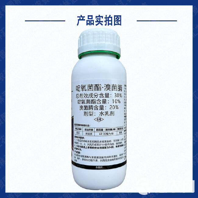 实佳侦炭30%啶氧菌酯 溴菌腈正牌杀菌剂西瓜炭疽病专用农药水