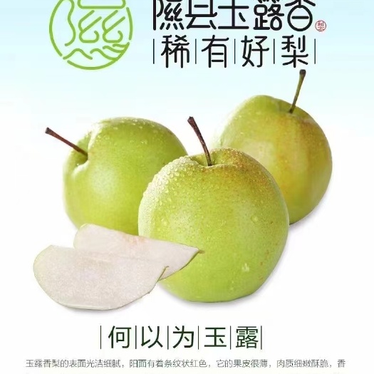 隰县隰县玉露香梨