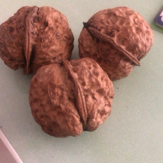 德昌县核桃