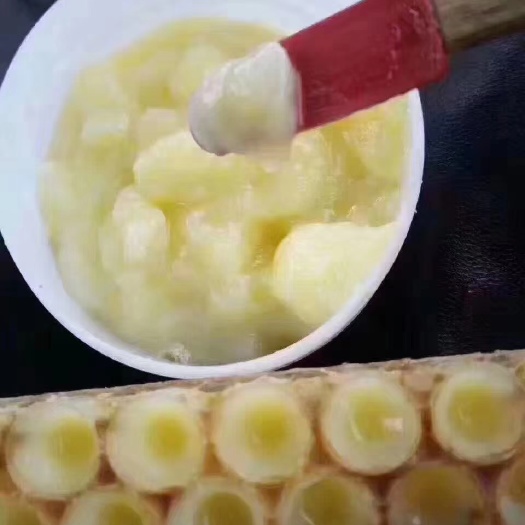 明光市蜂皇浆