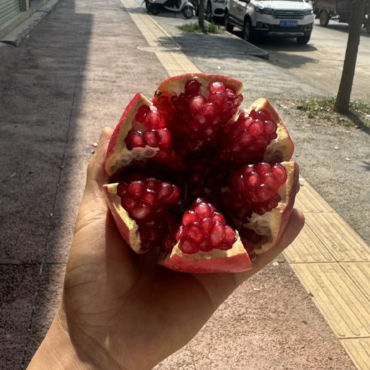 蒙自市蒙自突尼斯软籽石榴礼盒装