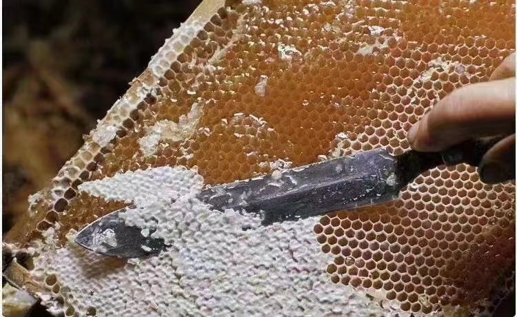 明光市蜂蜜
