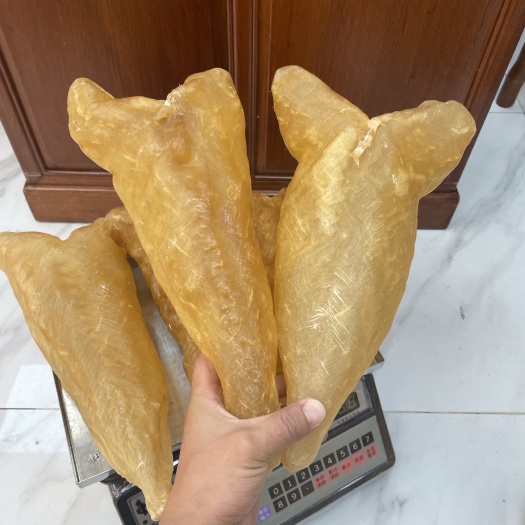 广州精选黄花筒，懂货的来，大货批发。酒店会所招待，此款高端