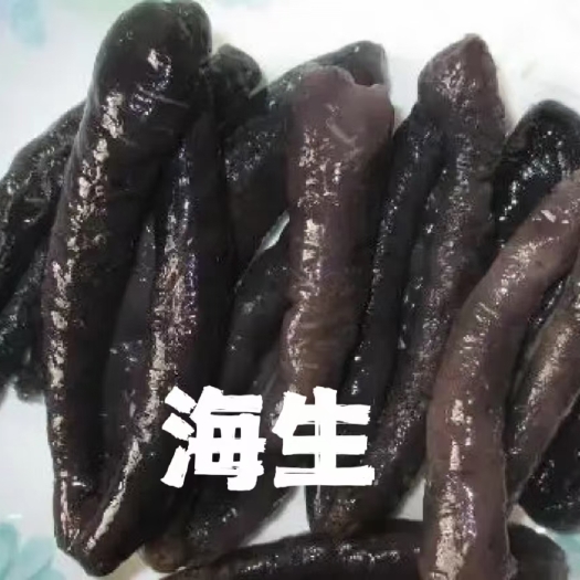 成都海参