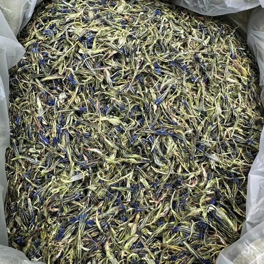 龙胆花