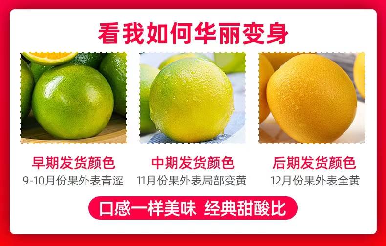 一件代发货2023年现采现发云南玉溪哀牢山冰糖橙新鲜清甜爽口