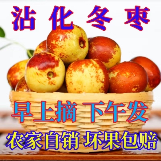 滨州沾化冬枣，现摘现发