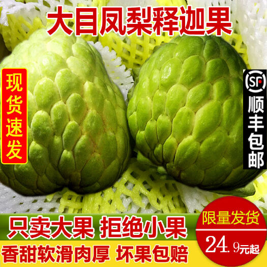汕头凤梨释迦果