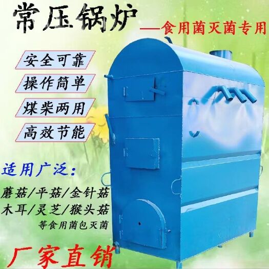 食用菌灭菌锅炉 卧式常压灭菌锅炉