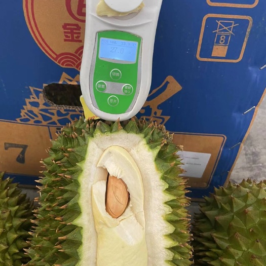 海口泰国泰小小金枕榴莲