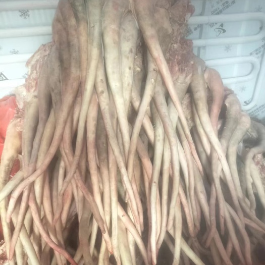 厦门牛尾巴