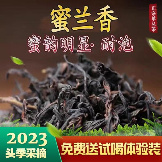 饶平县正宗凤凰单枞茶蜜兰香潮汕功夫茶高山乌岽单丛茶高香碳焙