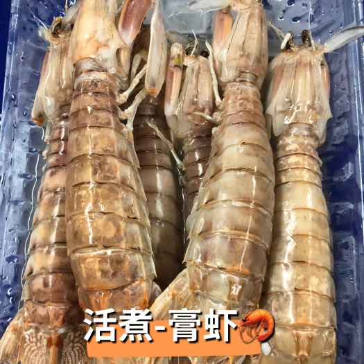 佛山活煮皮皮虾规格齐全。自家收货加工