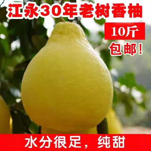 永州江永香柚