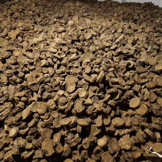 万源市高含量马蹄大黄鲜货干货产地大货直供