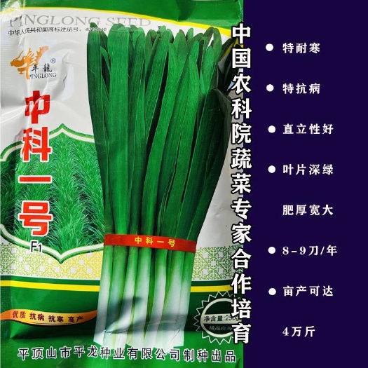 宿迁韭菜种子中科一号韭菜种子抗寒抗病生长性强优质蔬菜种子