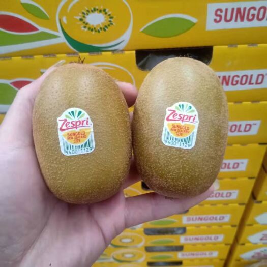 黄金果