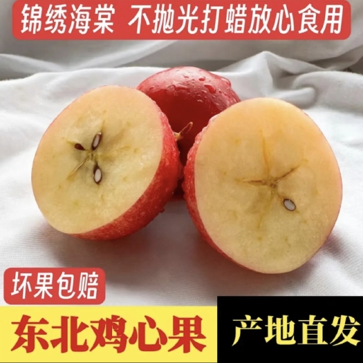 开原市东北鸡心果 一件代发