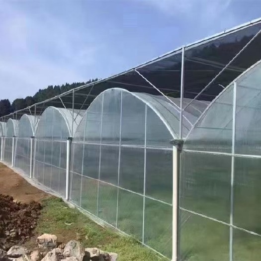 沭阳县薄膜联栋温室，土地利用率高，种植配套设施齐全。