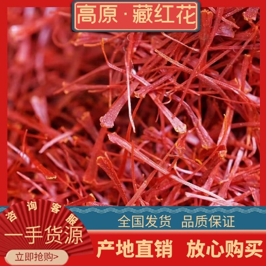西宁藏红花花丝  藏红花