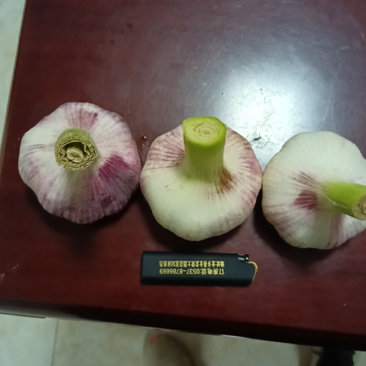 金乡县杂交大蒜