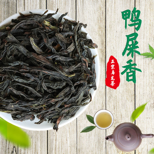 饶平县潮州凤凰单枞高山乌岽单丛 新春茶乌龙茶鸭屎香单从 批发茶叶5