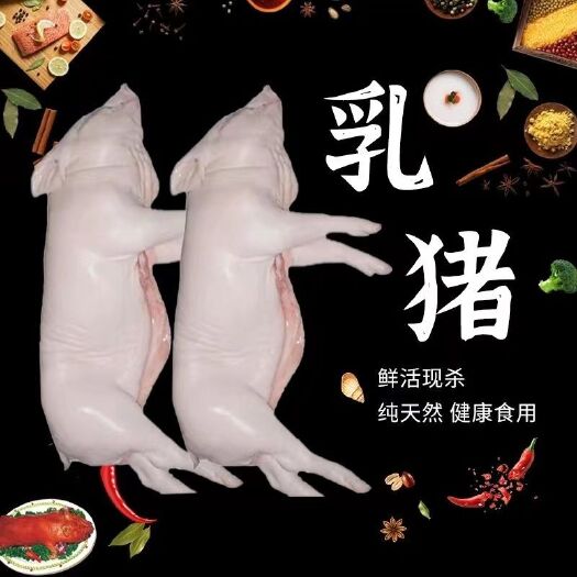 灌南县烤乳猪