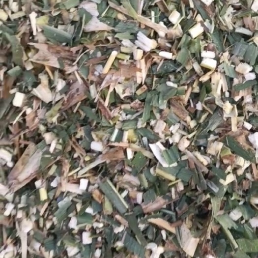 哈密玉米秸秆青储