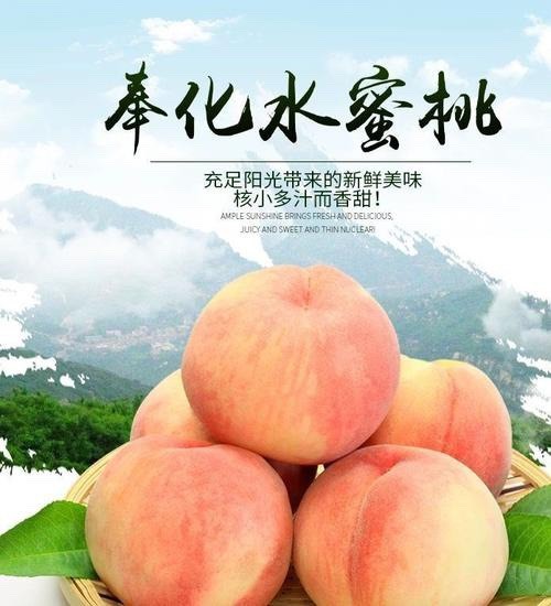 宁波奉化水蜜桃，芋艿头，油焖笋等土特产