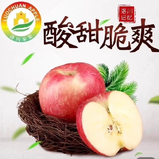 陕西洛川冰糖心红富士苹果甜脆细腻多汁爽口老少皆宜